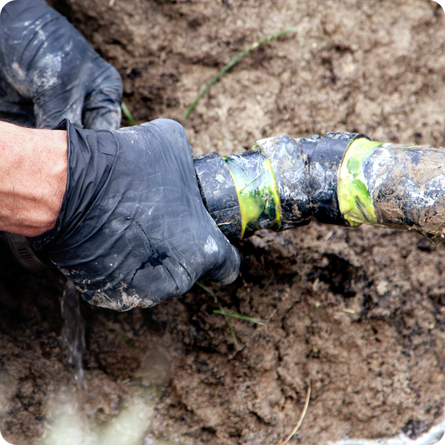Sewer backup